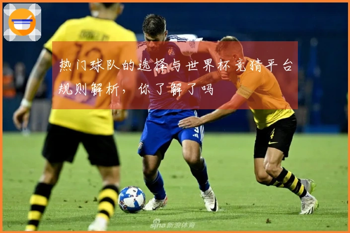 热门球队的选择与世界杯竞猜平台规则解析，你了解了吗