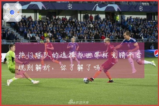 热门球队的选择与世界杯竞猜平台规则解析,你了解了吗
